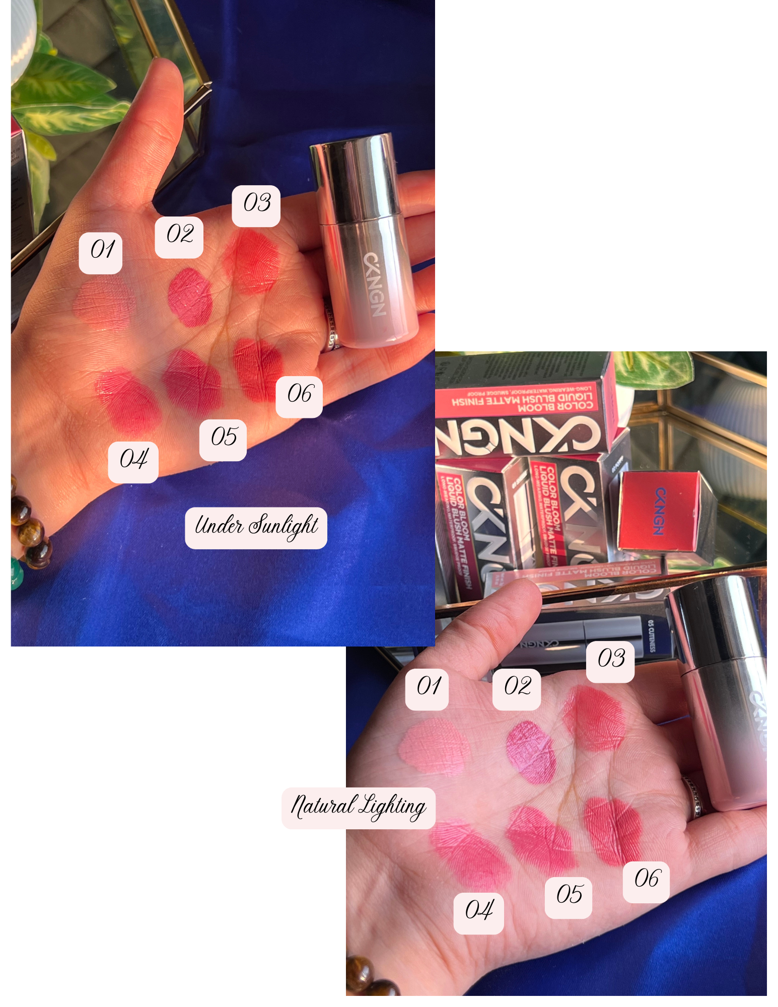 ColorBloom Luxe Cushion Blush