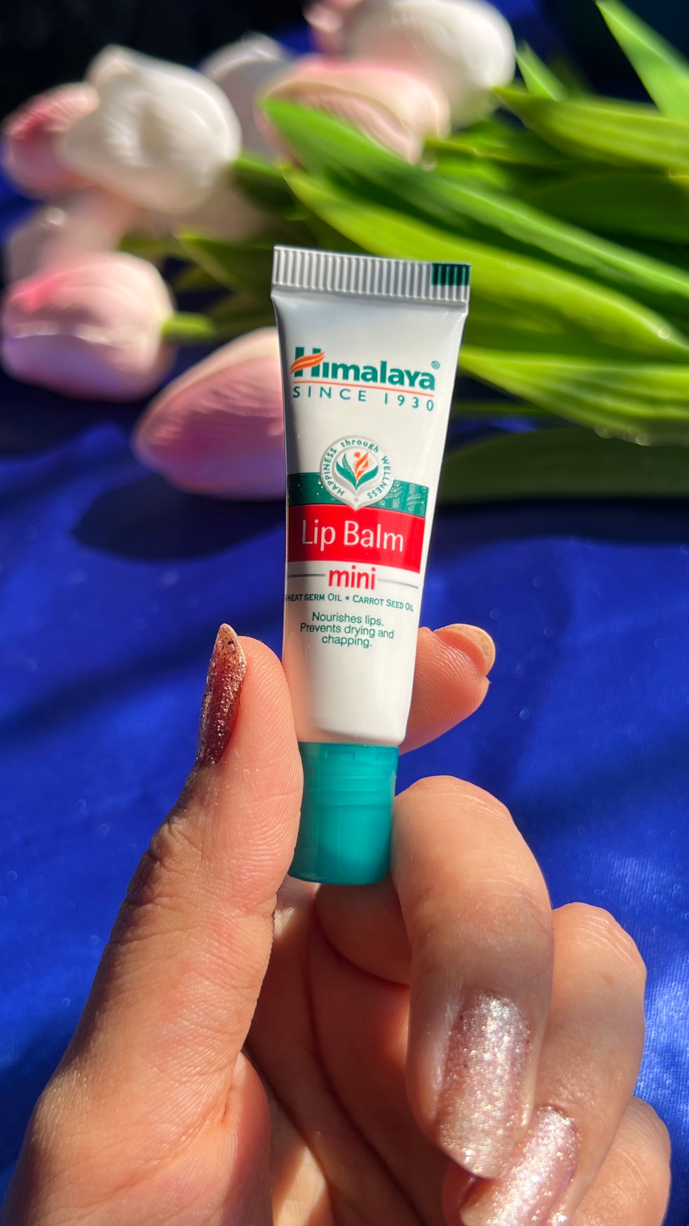 Himalaya Lip Balm Mini (5g)